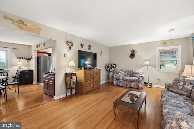 350 Poorhouse Rd, Winchester, VA 22603 - living area featuring light wood-style flooring and baseboards
