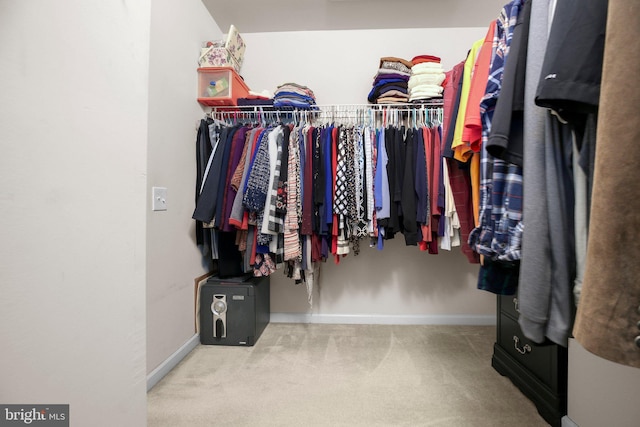 spacious closet featuring carpet flooring