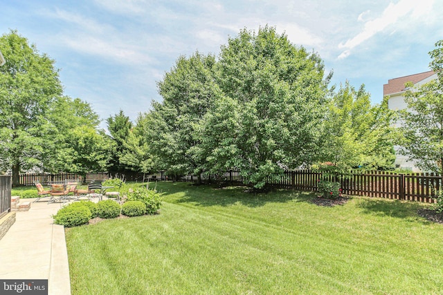 view of yard featuring a patio