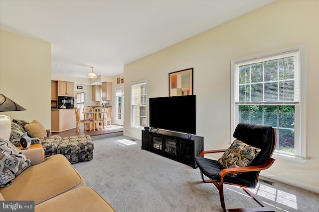 7 Chattam Ct, Baltimore, MD 21234 - living room with carpet flooring and baseboards