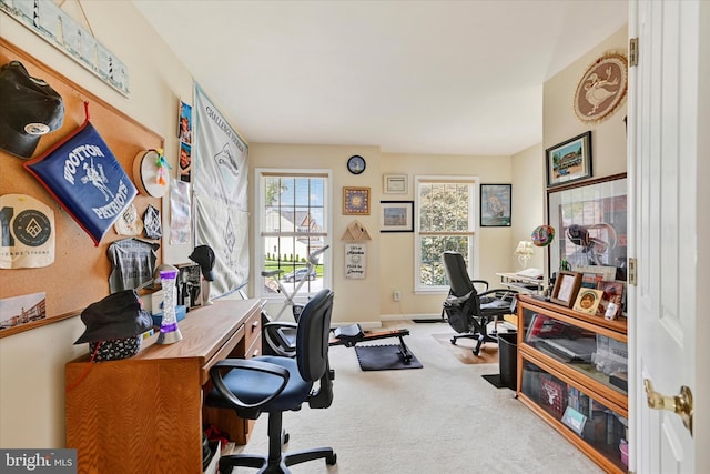 7 Chattam Ct, Baltimore, MD 21234 - carpeted home office with baseboards