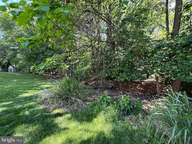 7 Chattam Ct, Baltimore, MD 21234 - view of green lawn