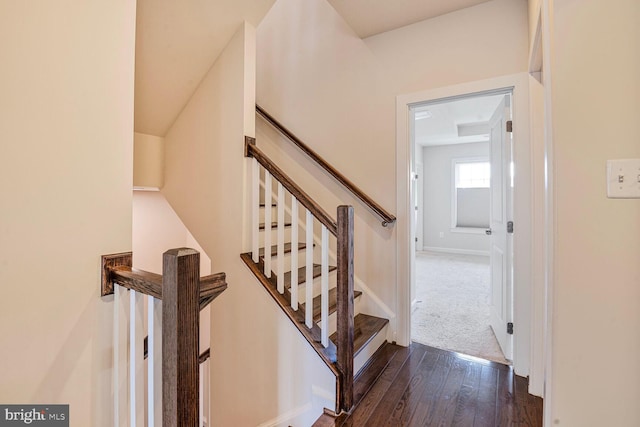 staircase featuring hardwood / wood-style floors and baseboards