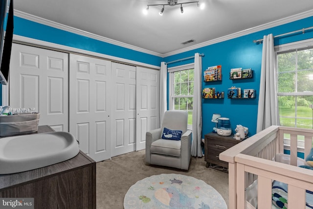 carpeted bedroom featuring a closet and crown molding