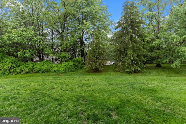 view of grassy yard