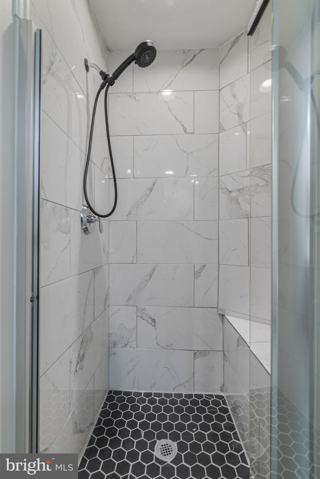 23466 Twin Falls Ter, Brambleton, VA 20148 - full bathroom featuring a stall shower