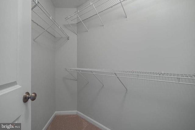 23466 Twin Falls Ter, Brambleton, VA 20148 - spacious closet featuring carpet floors