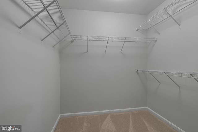23466 Twin Falls Ter, Brambleton, VA 20148 - spacious closet featuring carpet floors
