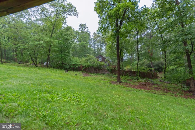 384 Nancy Jack Rd, Gerrardstown, WV 25420 - view of yard