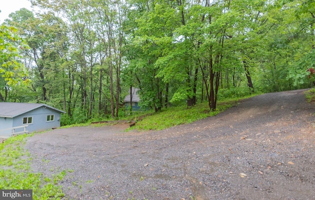 384 Nancy Jack Rd, Gerrardstown, WV 25420 - view of dirt / gravel driveway