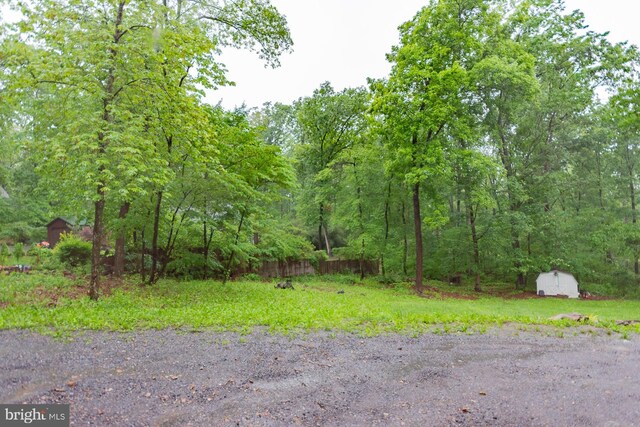 384 Nancy Jack Rd, Gerrardstown, WV 25420 - view of yard featuring a storage unit and an outbuilding