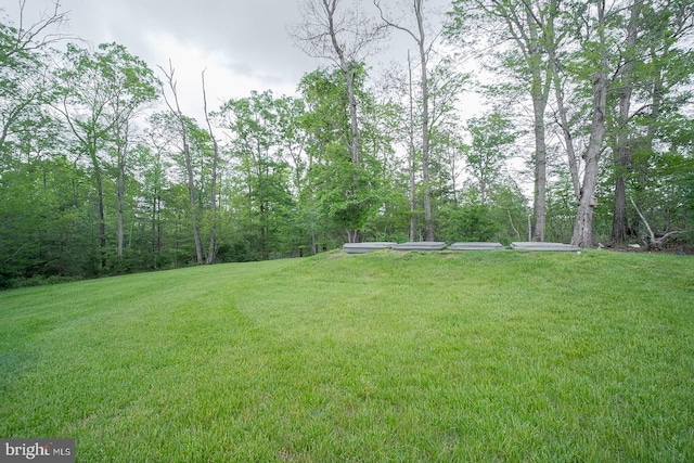 view of green lawn