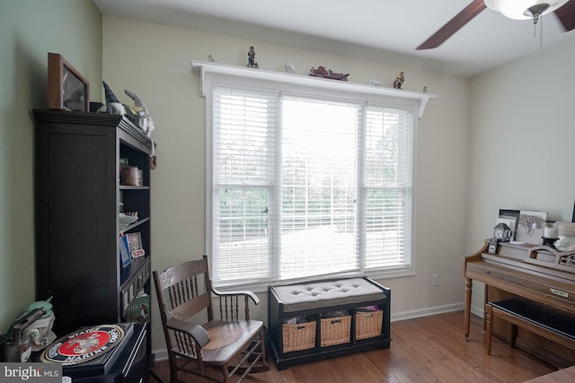 living area featuring a ceiling fan and wood finished floors