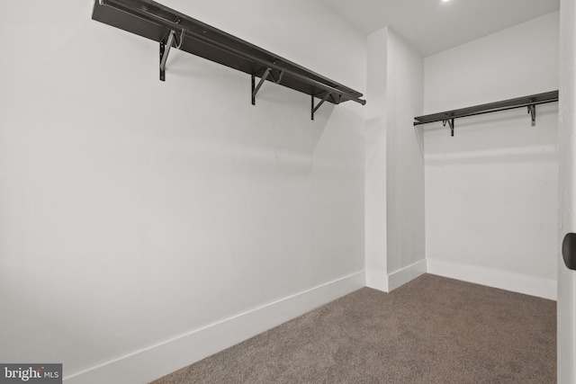 442 S Prince St, Lancaster, PA 17603 - spacious closet with carpet flooring