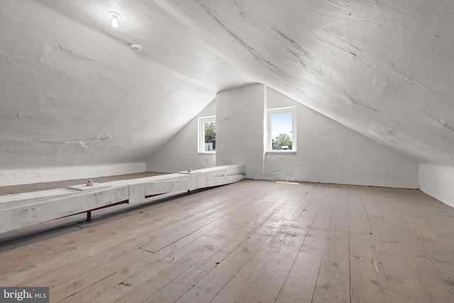 442 S Prince St, Lancaster, PA 17603 - additional living space featuring hardwood / wood-style floors and vaulted ceiling