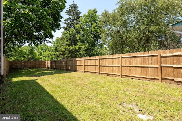 442 S Prince St, Lancaster, PA 17603 - view of yard