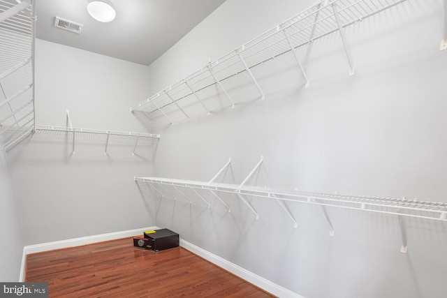 walk in closet featuring wood finished floors
