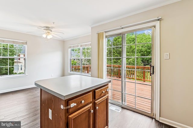 1372 Walkabout Ct Unit 53, Eldersburg, MD 21784 - kitchen featuring plenty of natural light, baseboards, ornamental molding, a ceiling fan, and light wood finished floors