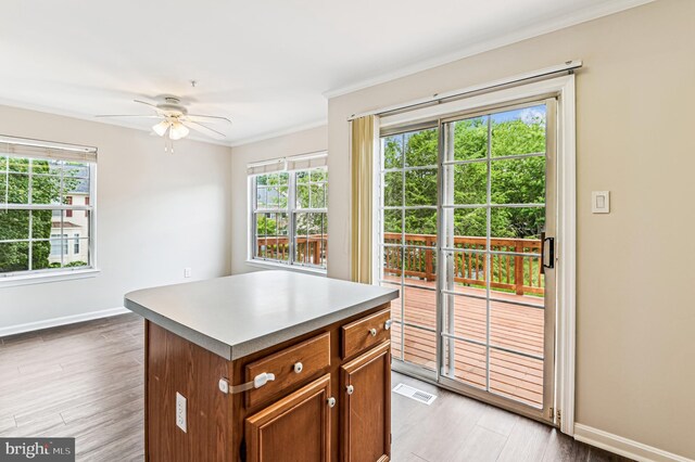 1372 Walkabout Ct Unit 53, Eldersburg, MD 21784 - kitchen featuring plenty of natural light, baseboards, ornamental molding, ceiling fan, and light wood-style floors