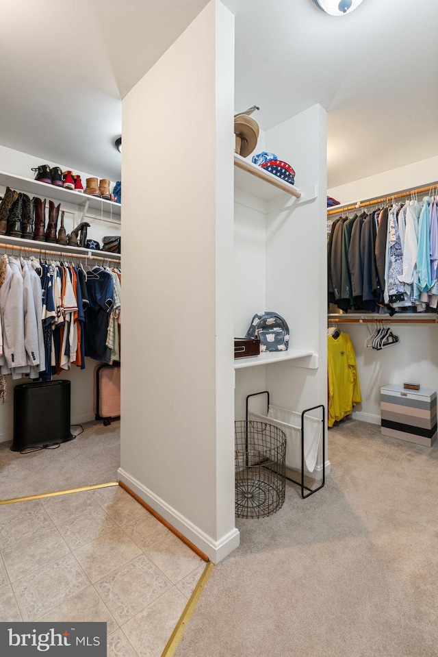 7814 Abbey Oaks Ct, Manassas, VA 20112 - spacious closet with carpet
