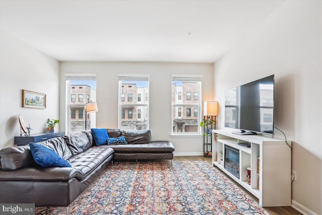 living room featuring wood finished floors and baseboards
