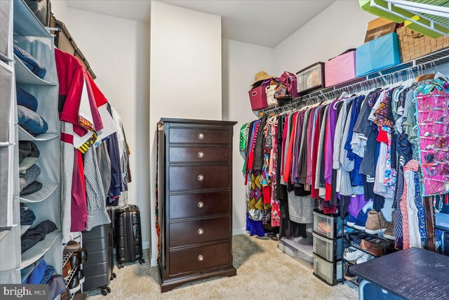 spacious closet with carpet flooring