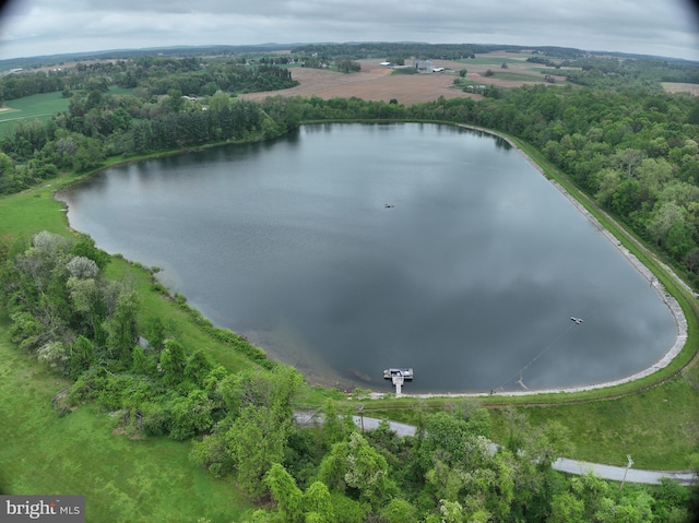 955 Lucabaugh Mill Rd, Westminster, MD 21157 - drone / aerial view of a large body of water