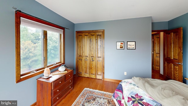 955 Lucabaugh Mill Rd, Westminster, MD 21157 - bedroom with wood finished floors, a closet, and baseboards