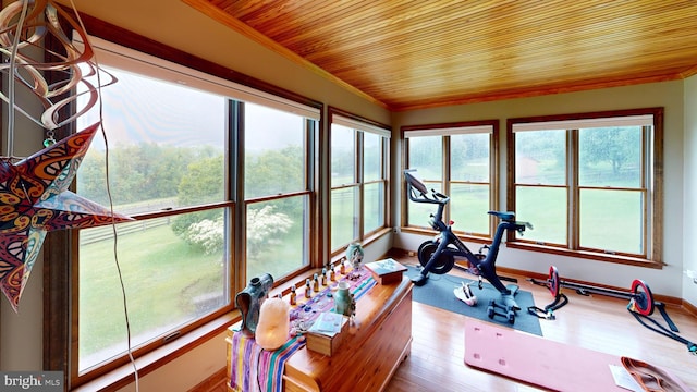 955 Lucabaugh Mill Rd, Westminster, MD 21157 - exercise area featuring wooden ceiling, wood finished floors, crown molding, and baseboards