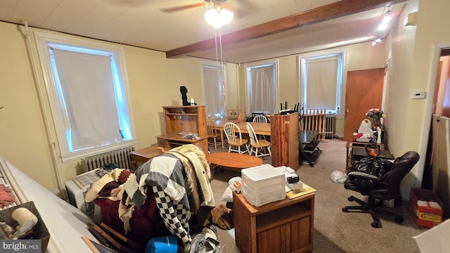 home office with carpet flooring, radiator, and a ceiling fan
