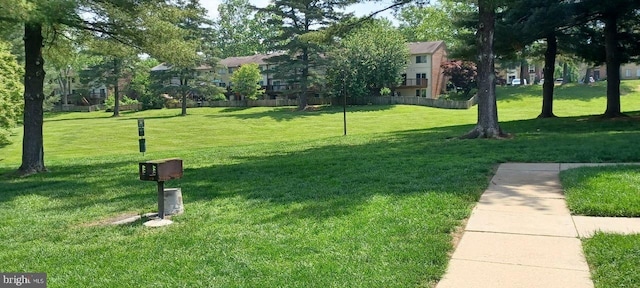 view of community with a yard