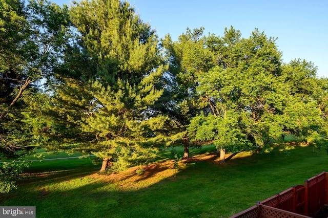 view of green lawn
