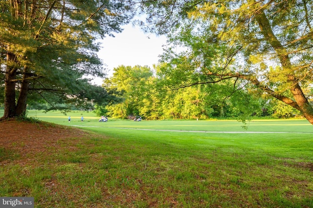 surrounding community featuring a yard and view of wooded area
