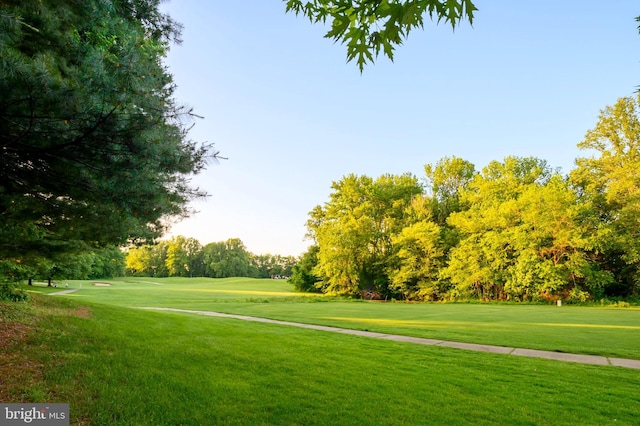 view of property's community with golf course view, a lawn, and view of scattered trees