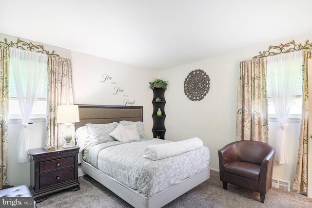 bedroom featuring carpet flooring