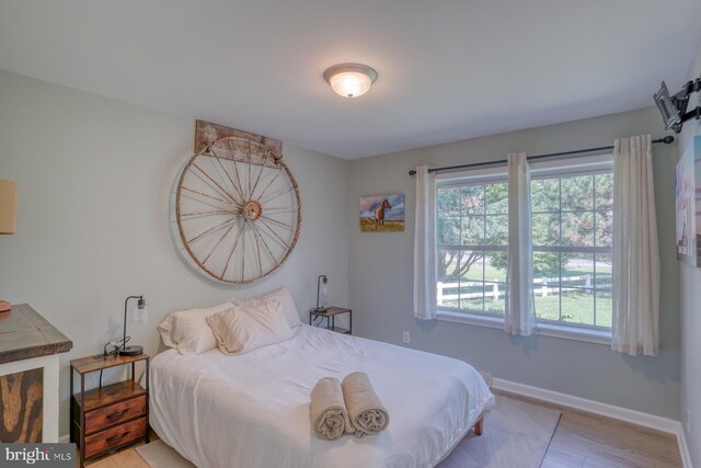 18418 Gravel Hill Rd, Georgetown, DE 19947 - bedroom featuring baseboards and light wood-style flooring