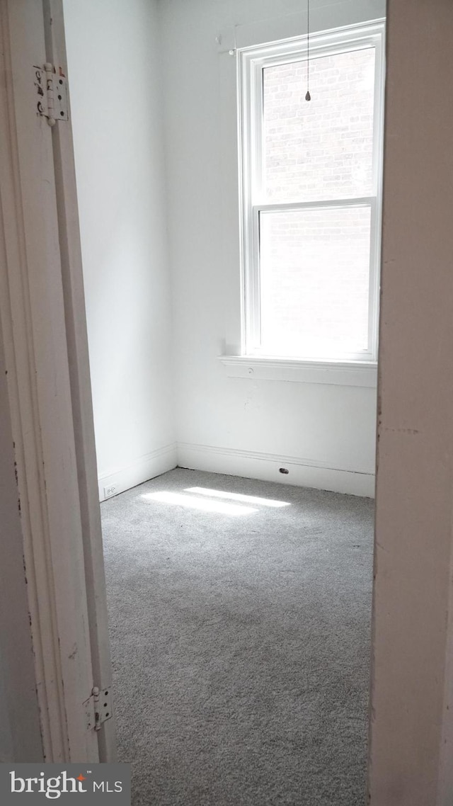 2236 Linden Ave, Baltimore, MD 21217 - view of carpeted empty room
