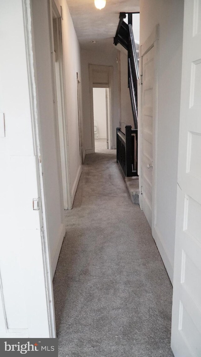 2236 Linden Ave, Baltimore, MD 21217 - hall featuring light colored carpet and baseboards