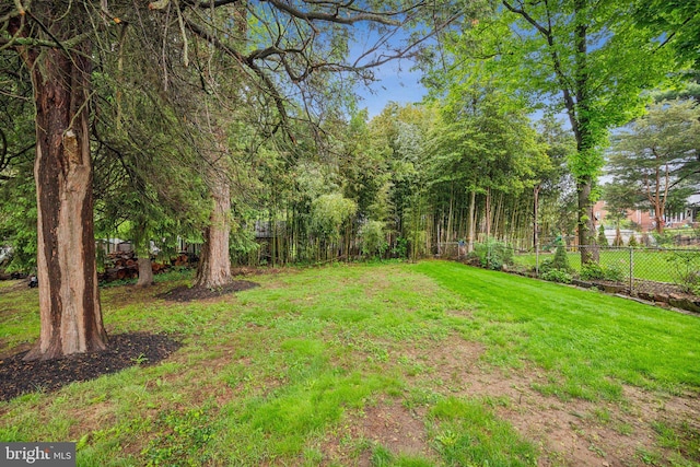 view of yard