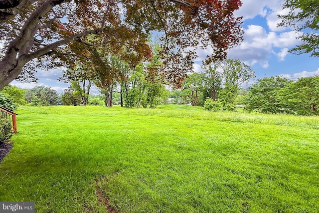 4501 Highland Green Ct, Alexandria, VA 22312 - view of green lawn