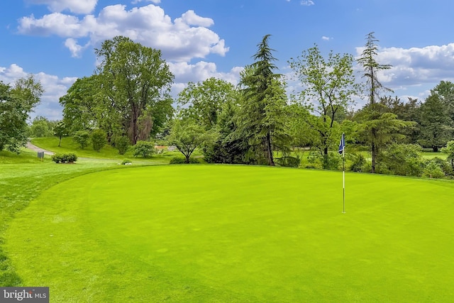 4501 Highland Green Ct, Alexandria, VA 22312 - surrounding community featuring view of golf course, view of wooded area, and a putting area