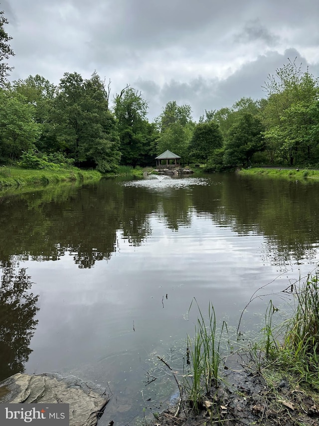 4501 Highland Green Ct, Alexandria, VA 22312 - water view with a heavily wooded area