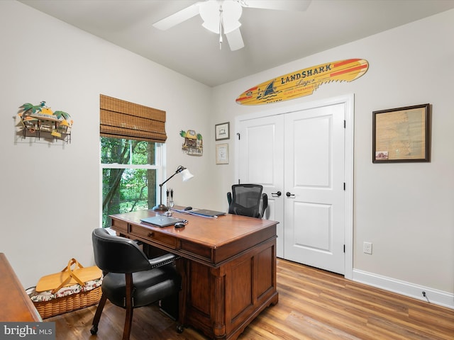 20 Parker Dr, Millsboro, DE 19966 - office featuring ceiling fan, light wood-type flooring, and baseboards