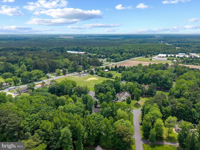 20 Parker Dr, Millsboro, DE 19966 - aerial view of a forest