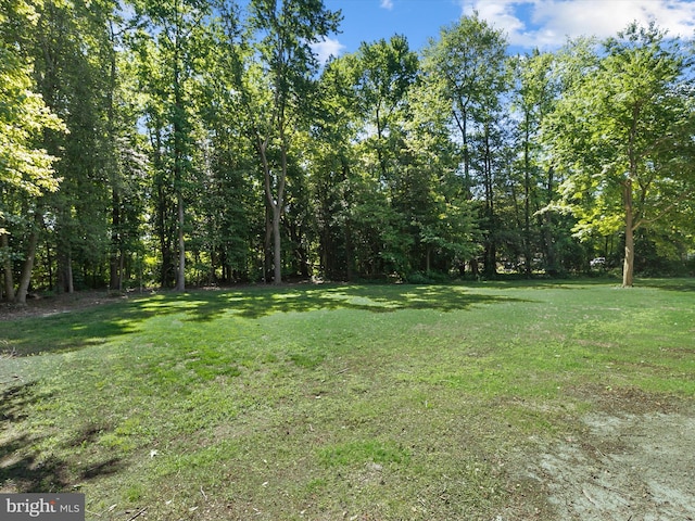20 Parker Dr, Millsboro, DE 19966 - view of green lawn