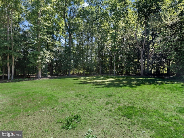 20 Parker Dr, Millsboro, DE 19966 - view of grassy yard