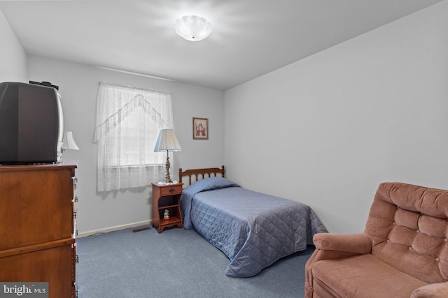 407 Stanford Rd, Fairless Hills, PA 19030 - carpeted bedroom with baseboards