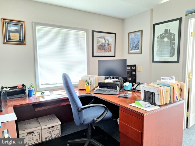 839 Shore Dr, Edgewater, MD 21037 - home office with carpet flooring