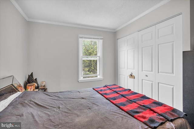 bedroom featuring crown molding, a closet, and a textured ceiling