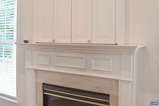 1269 Townbrook Xing, Charlottesville, VA 22901 - detailed view of a glass covered fireplace